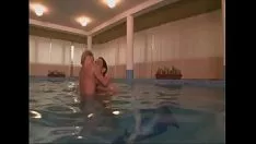 Redare Fă-l pe bob în mișcare de vecinul sexual