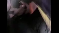Riproduci Fripp regalo delizioso