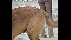 চালান প্রতিটির জন্য কতটা আনন্দদায়ক 2