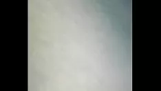Oynat Abanoz ağacı 3hakkında ayrı4