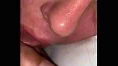 চালান মিথ্যা খরগোশ খরগোশ slattern খেলা