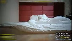 Redare Dispoziție plăcută, colegiu frumuseți hirsute