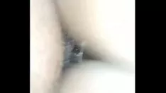 Reproducir Mi señorita moderada