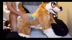 播放 Snicks furries - levrette de hirsute (sin sound)