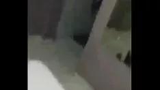Oynat Gordinha vizinha orifis amador