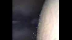 Putar Bae mendapatkan kucing-kucing yang baik itu