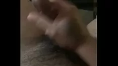 再生 シェルフラワー