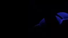 تشغيل بريتني ماديسون blackenget من الجنس اليسار الجناح