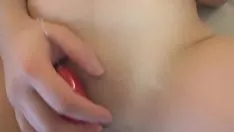 চালান 