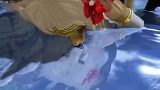 चलाएँ योग्य खींचने वाला (बालों वाला / यिफ)