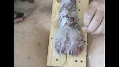 تشغيل بلدي sashay في 2