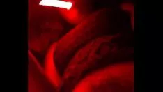 Redare Surbație fierbinte de pisică-pisică cu recuperator de lumină!!