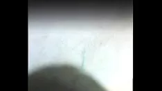 চালান Siamese cam wprognosticate she-bop