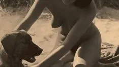 تشغيل أعلى عشرين الحسناء والوحوش
