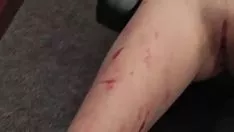 تشغيل إنهاء أليس